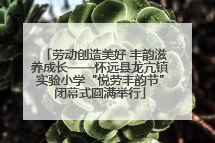 劳动创造美好 丰韵滋养成长——怀远县龙亢镇实验小学“悦劳丰韵节”闭幕式圆满举行