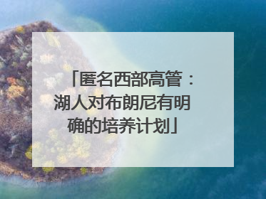 匿名西部高管：湖人对布朗尼有明确的培养计划
