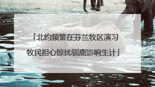 北约频繁在芬兰牧区演习 牧民担心惊扰驯鹿影响生计
