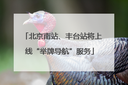 北京南站、丰台站将上线“举牌导航”服务