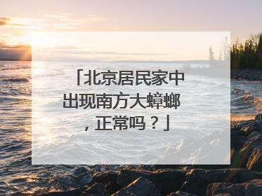 北京居民家中出现南方大蟑螂，正常吗？