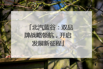 北汽蓝谷：双品牌战略领航，开启发展新征程