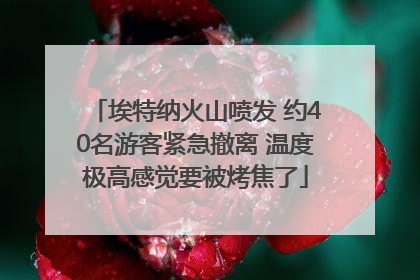 埃特纳火山喷发 约40名游客紧急撤离 温度极高感觉要被烤焦了