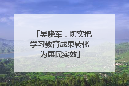 吴晓军：切实把学习教育成果转化为惠民实效