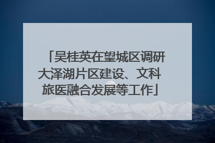 吴桂英在望城区调研大泽湖片区建设、文科旅医融合发展等工作