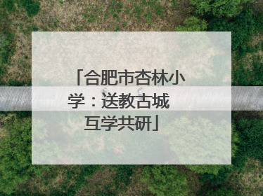 合肥市杏林小学：送教古城 互学共研