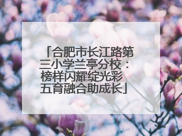 合肥市长江路第三小学兰亭分校：榜样闪耀绽光彩 五育融合助成长