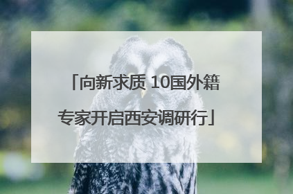 向新求质 10国外籍专家开启西安调研行