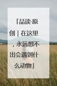 品读·原创｜在这里，永远想不出会遇到什么动物