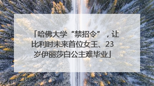 哈佛大学“禁招令”，让比利时未来首位女王、23岁伊丽莎白公主难毕业