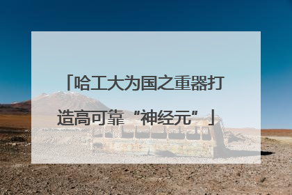 哈工大为国之重器打造高可靠“神经元”