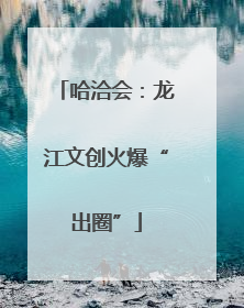 哈洽会：龙江文创火爆“出圈”