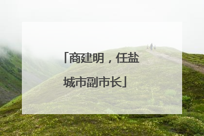 商建明，任盐城市副市长