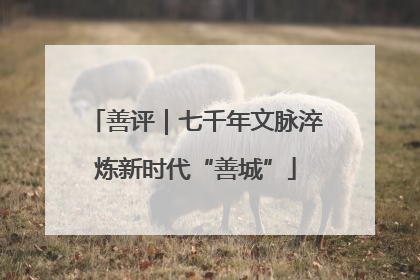 善评｜七千年文脉淬炼新时代“善城”