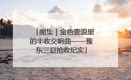 图集｜金色麦浪里的丰收交响曲——豫东三夏抢收纪实