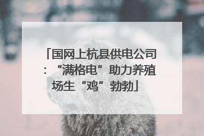 国网上杭县供电公司：“满格电”助力养殖场生“鸡”勃勃