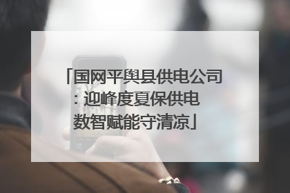国网平舆县供电公司：迎峰度夏保供电  数智赋能守清凉