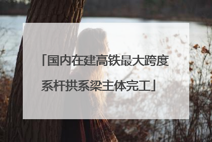国内在建高铁最大跨度系杆拱系梁主体完工