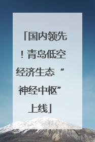 国内领先！青岛低空经济生态“神经中枢”上线