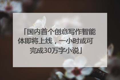 国内首个创意写作智能体即将上线，一小时或可完成30万字小说