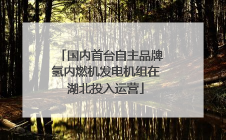 国内首台自主品牌氢内燃机发电机组在湖北投入运营