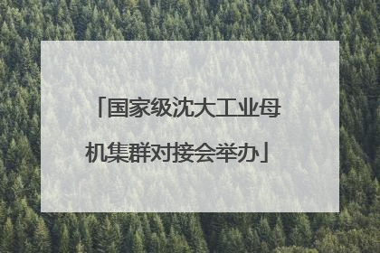国家级沈大工业母机集群对接会举办