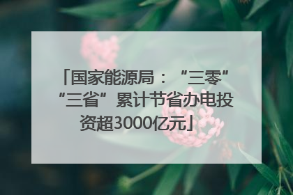 国家能源局：“三零”“三省”累计节省办电投资超3000亿元