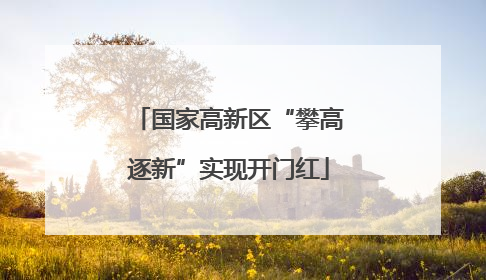 国家高新区“攀高逐新”实现开门红