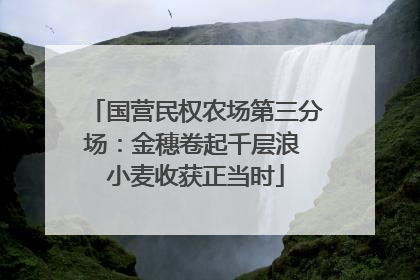 国营民权农场第三分场：金穗卷起千层浪 小麦收获正当时
