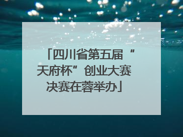 四川省第五届“天府杯”创业大赛决赛在蓉举办