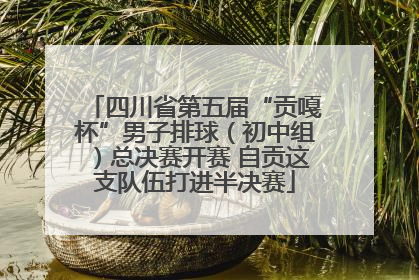 四川省第五届“贡嘎杯”男子排球（初中组）总决赛开赛 自贡这支队伍打进半决赛