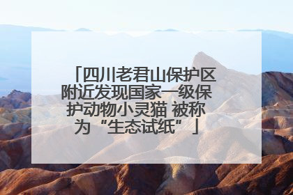 四川老君山保护区附近发现国家一级保护动物小灵猫 被称为“生态试纸”