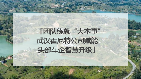 团队练就“大本事” 武汉霍尼特公司赋能头部车企智慧升级