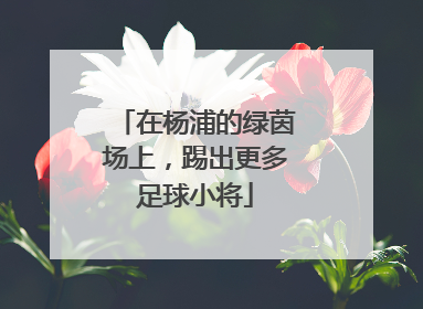 在杨浦的绿茵场上，踢出更多足球小将
