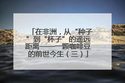 在非洲，从“种子”到“杯子”的遥远距离——一颗咖啡豆的前世今生（三）