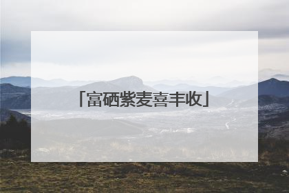 富硒紫麦喜丰收