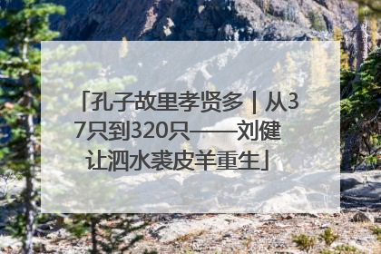 孔子故里孝贤多｜从37只到320只——刘健让泗水裘皮羊重生