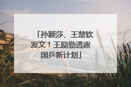 孙颖莎、王楚钦发文！王励勤透露国乒新计划