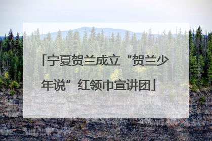 宁夏贺兰成立“贺兰少年说”红领巾宣讲团