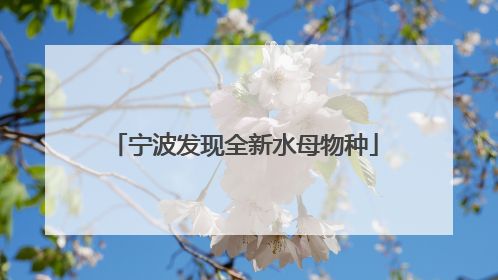 宁波发现全新水母物种