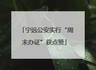 宁远公安实行“周末办证”获点赞