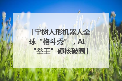 宇树人形机器人全球“格斗秀”，AI“拳王”硬核破圈