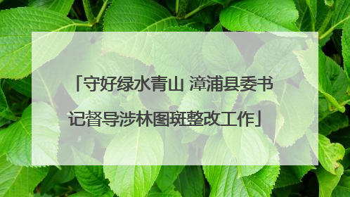 守好绿水青山 漳浦县委书记督导涉林图斑整改工作
