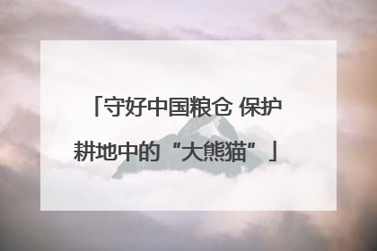守好中国粮仓 保护耕地中的“大熊猫”