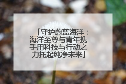 守护蔚蓝海洋：海洋至尊与青年携手用科技与行动之力托起纯净未来