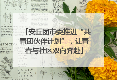 安丘团市委推进“共青团伙伴计划”，让青春与社区双向奔赴