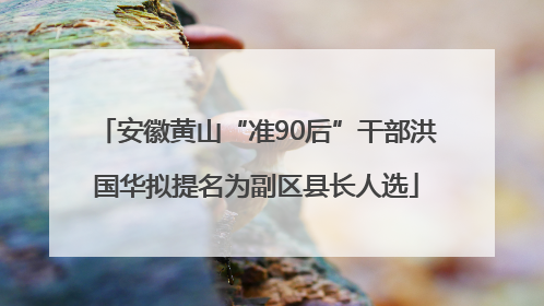 安徽黄山“准90后”干部洪国华拟提名为副区县长人选