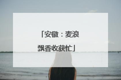 安徽：麦浪飘香收获忙