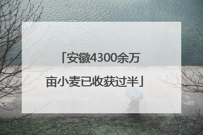 安徽4300余万亩小麦已收获过半