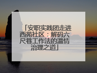 安职实践团走进西苑社区：解码六尺巷工作法的温情治理之道